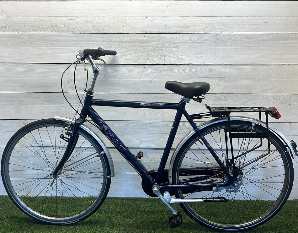 Giant Freerider
