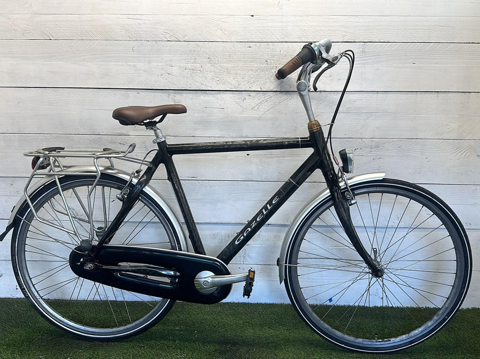 Gazelle Lite Line Carbon Frame