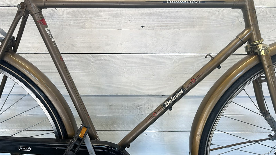 Batavus Cambridge