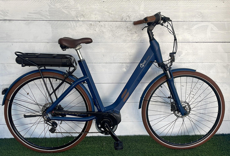 Feel Swan Electric Bicycle