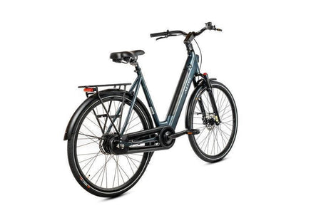 Altec Flow E-Bike Ash Gray - Miniatuur 3