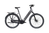 Altec Voltix E-Bike Taupe Brown