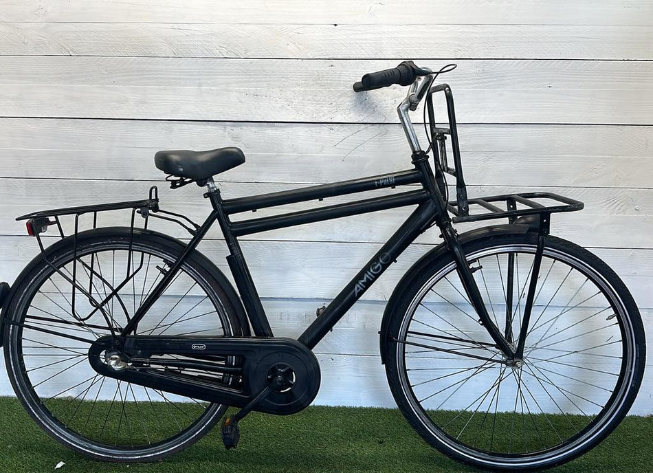 Amigo E-Pulse