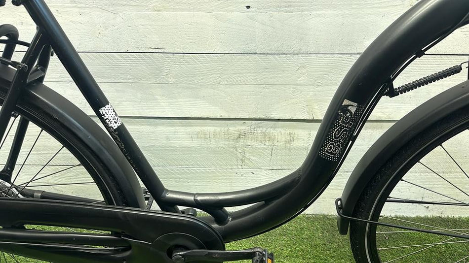 BSP Seine Moederfiets