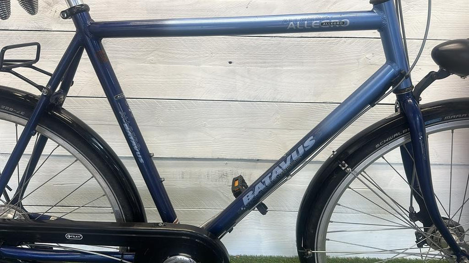 Batavus Allegro