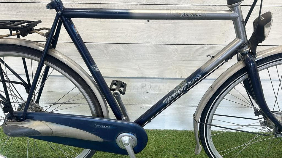 Batavus Ancona