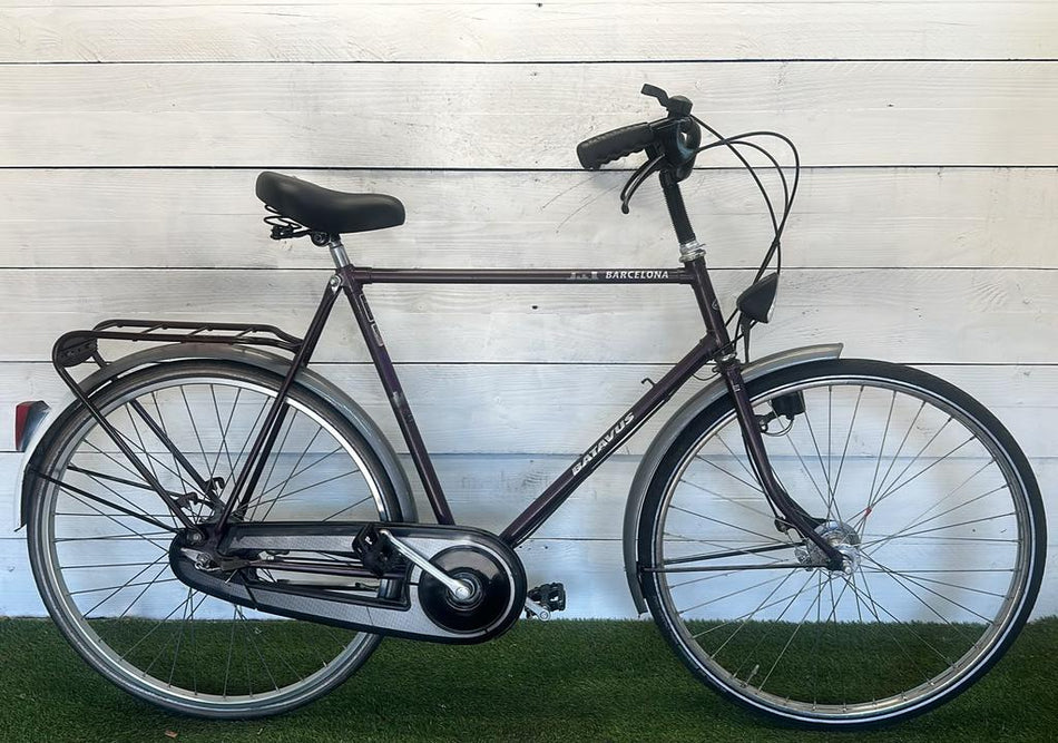 Batavus Barselona
