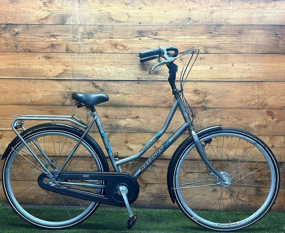 Batavus Browser 3v 28inch 54cm