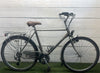 Batavus Cheyenne