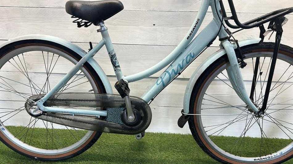 Batavus Diva