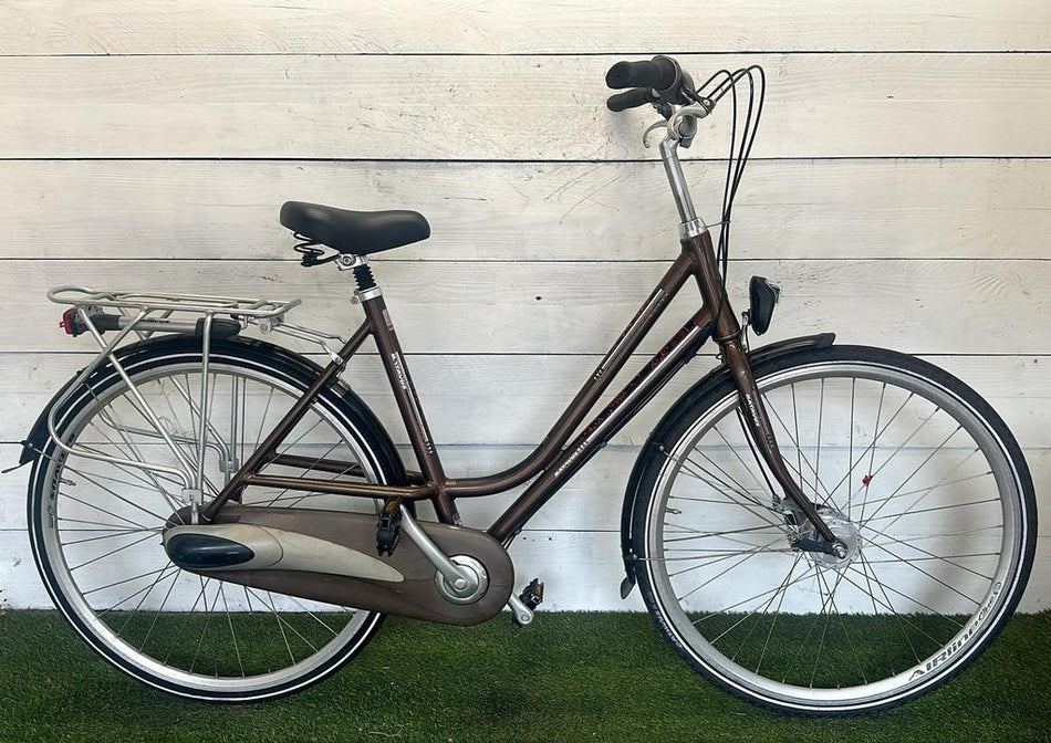Batavus Flash