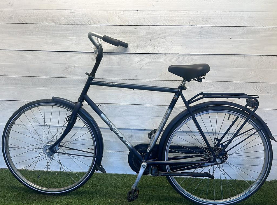 Batavus Future