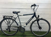 Batavus Hampton