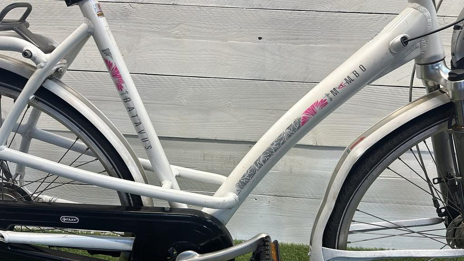 Batavus Mambo