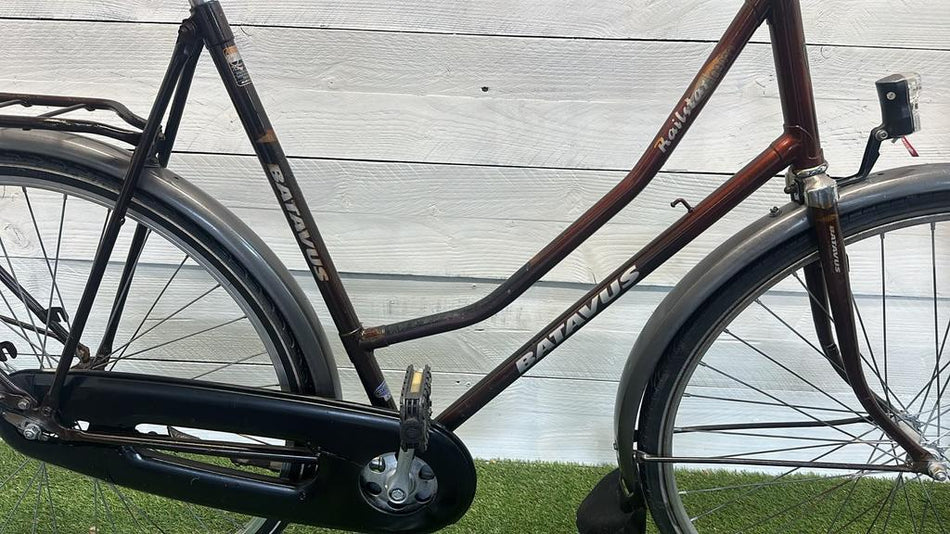Batavus Railstar