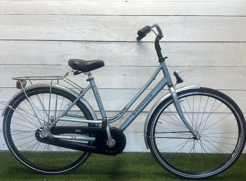 Batavus Twister