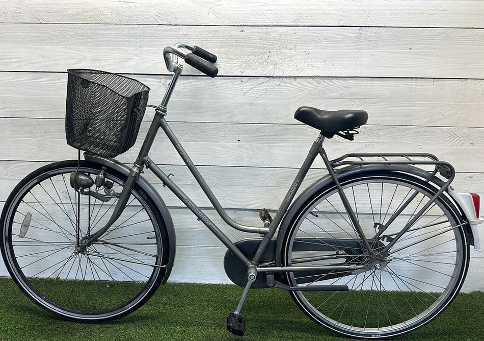 Batavus Winner