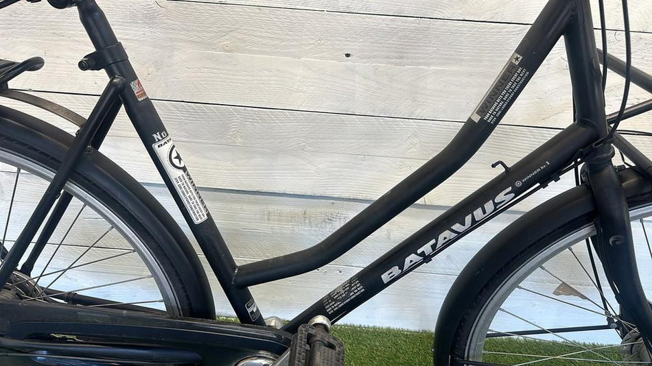 Batavus Winner