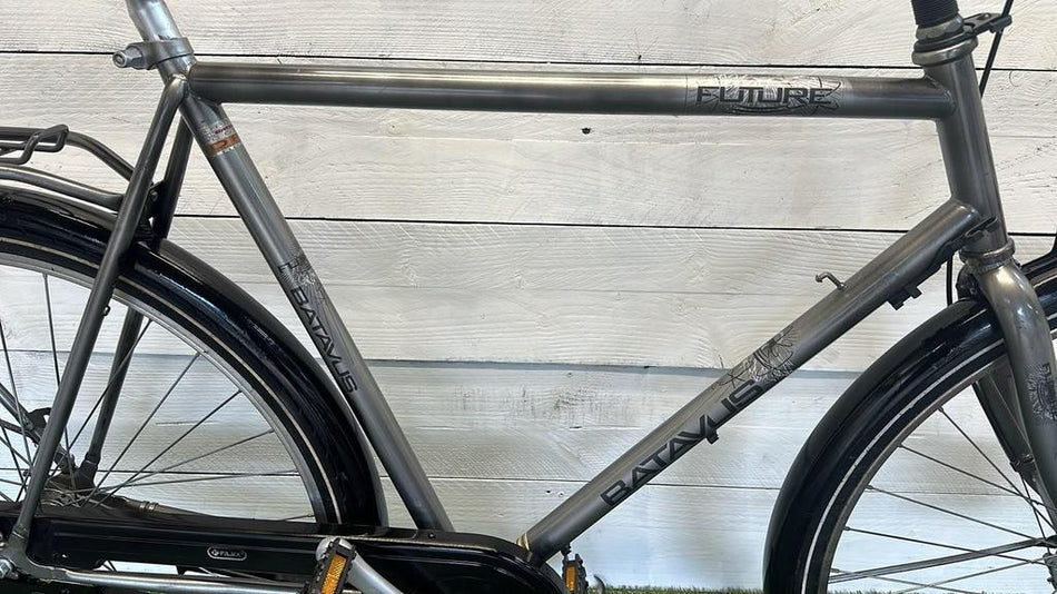 Batavus Future
