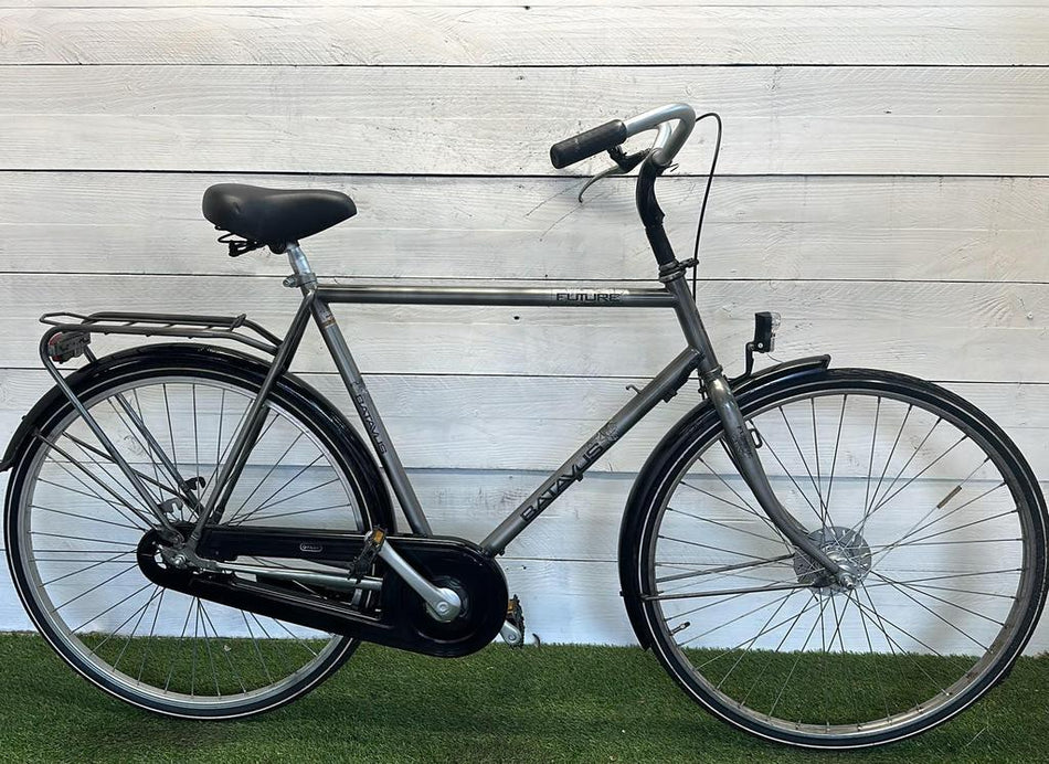 Batavus Future