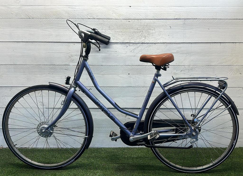 Batavus Future