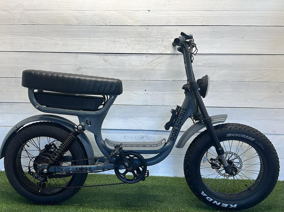 Don Souris Capo Fatbike