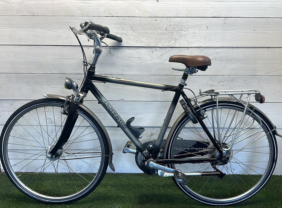 Gazelle Arosa