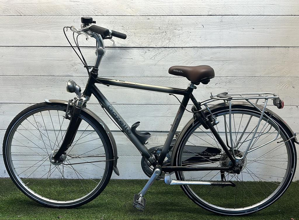 Gazelle Arosa