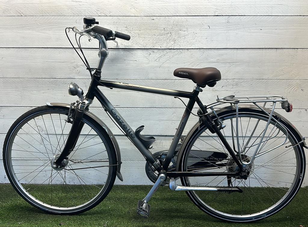 Gazelle Arosa - Vergrote foto
