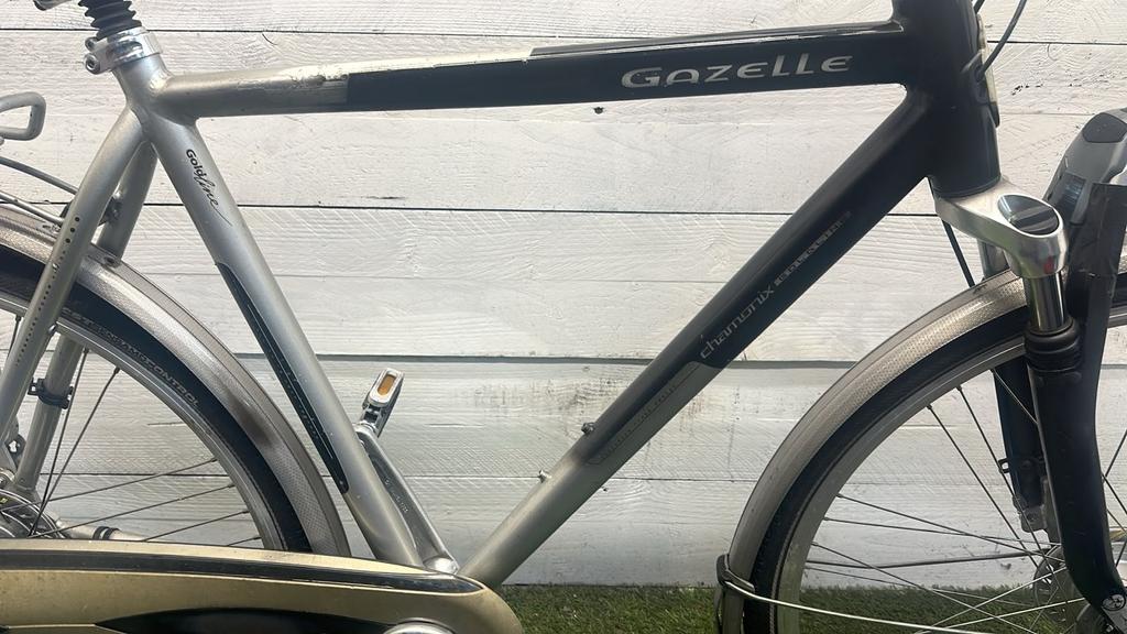 Gazelle Chamonix - Vergrote foto