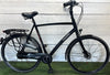 Gazelle Chamonix Comfort