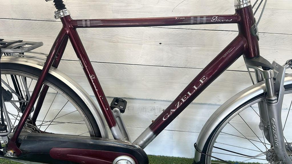Gazelle Davos