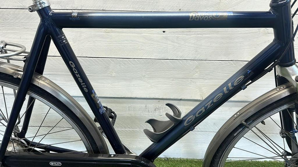 Gazelle Davos