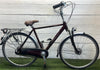 Gazelle Davos