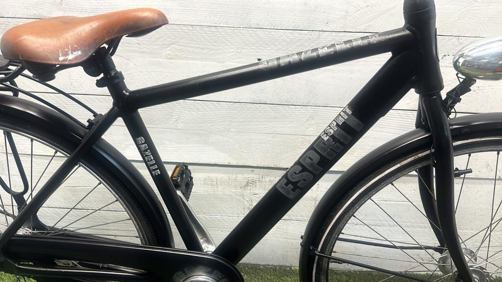 Gazelle Esprit - Vergrote foto