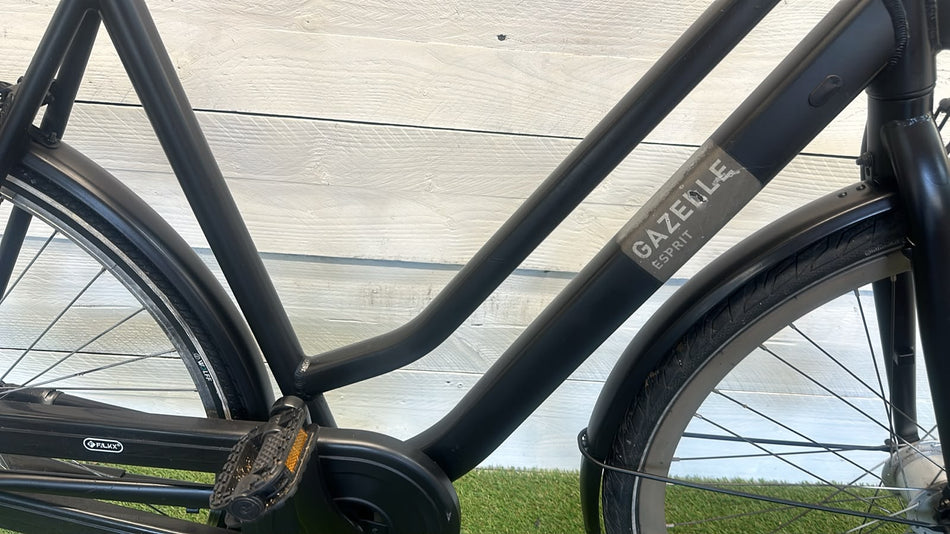 Gazelle Esprit