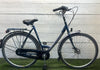 Gazelle Laguna