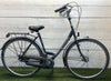 Gazelle Laguna