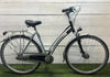 Gazelle Laguna