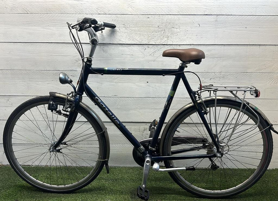 Gazelle Medeo