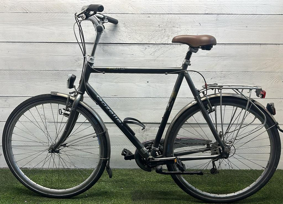 Gazelle Medeo
