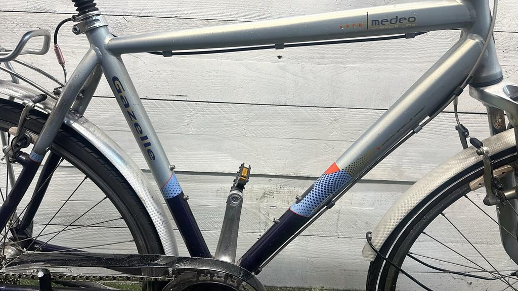 Gazelle Medeo - Vergrote foto
