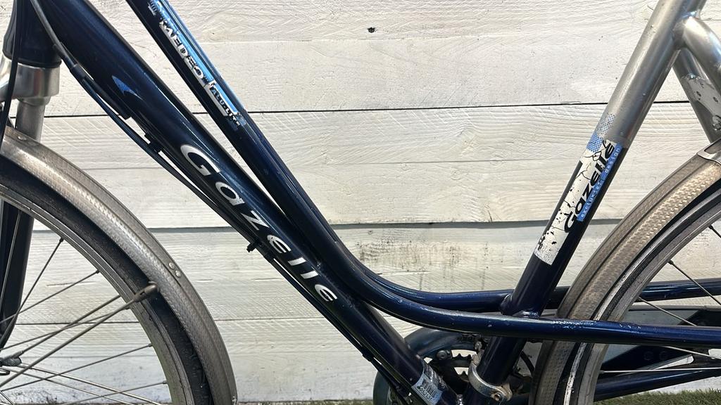Gazelle Medeo - Vergrote foto