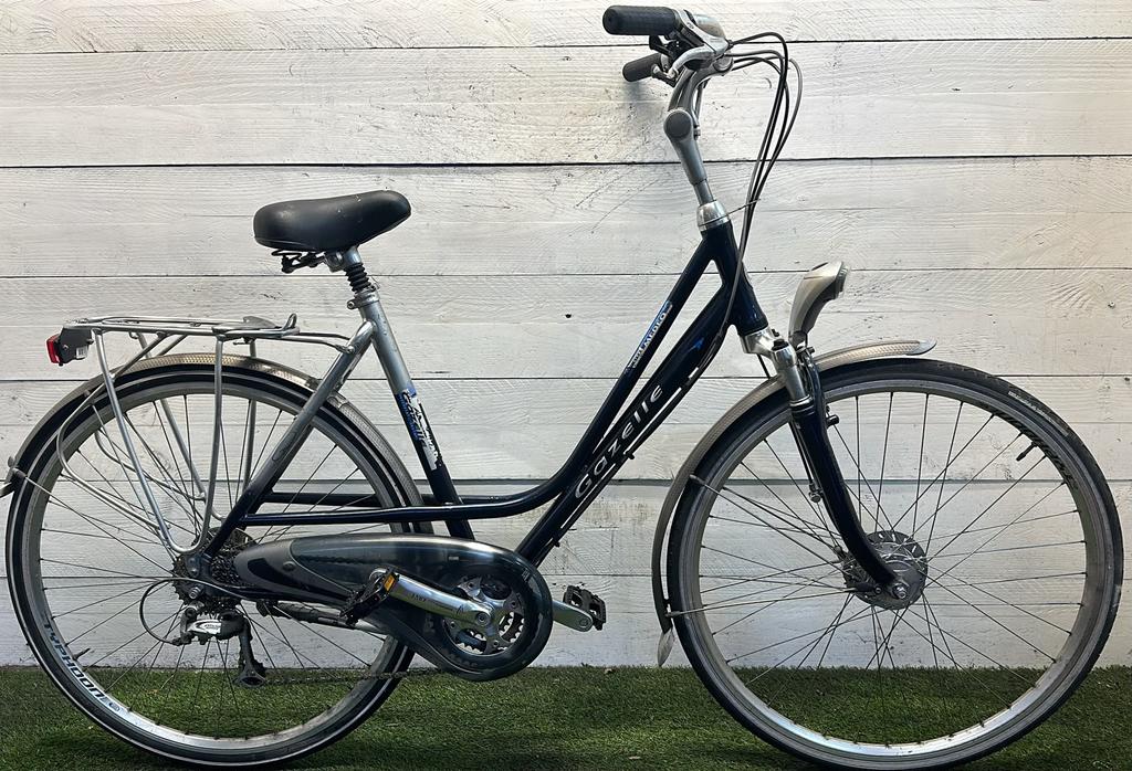 Gazelle Medeo - Vergrote foto