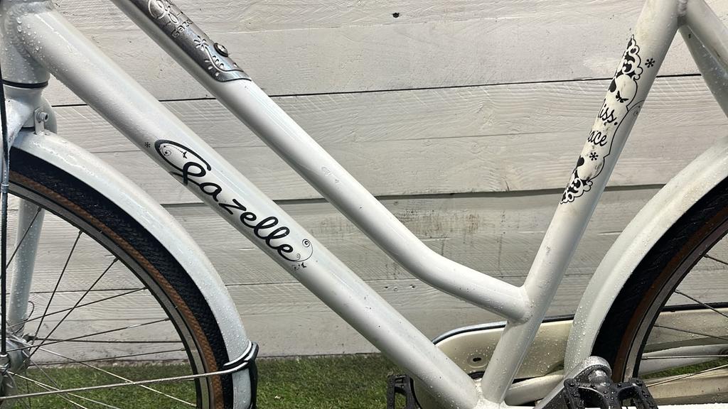 Gazelle Miss Grace - Vergrote foto