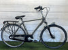 Gazelle Montreux