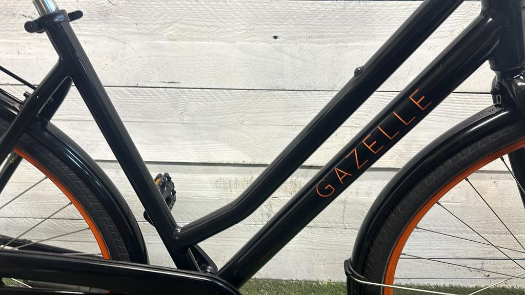 Gazelle NL - Vergrote foto