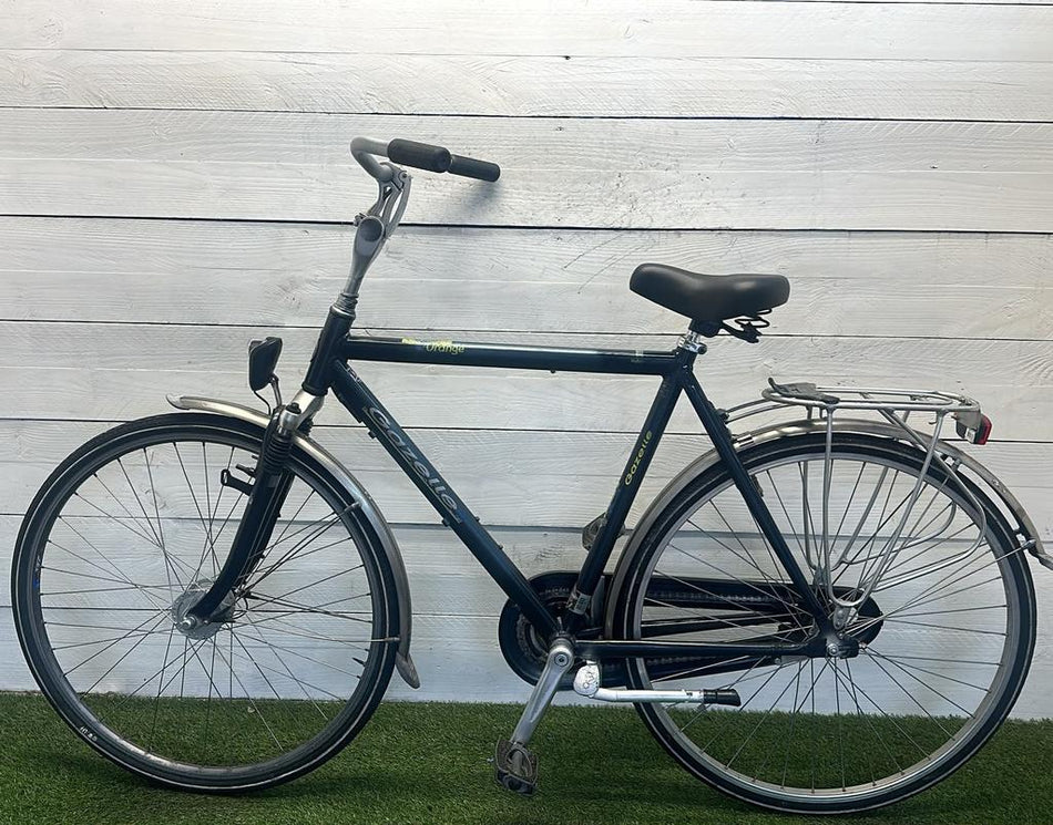 Gazelle Orange