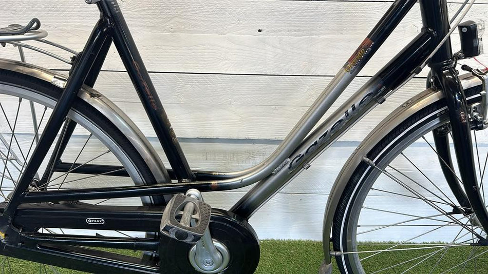 Gazelle Orange