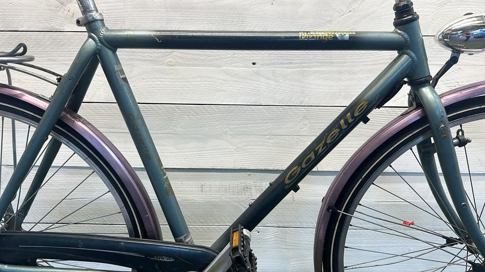 Gazelle Orange